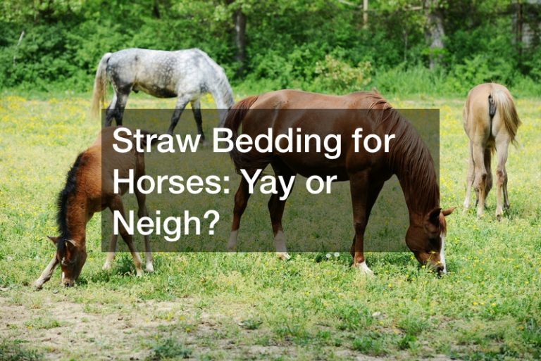 Straw Bedding for Horses Yay oo Neigh? Pet Training Blog